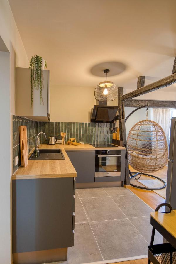 Appartement Le Verdoyant Hyper Centre Avec Sauna Et Parking Colmar Zewnętrze zdjęcie