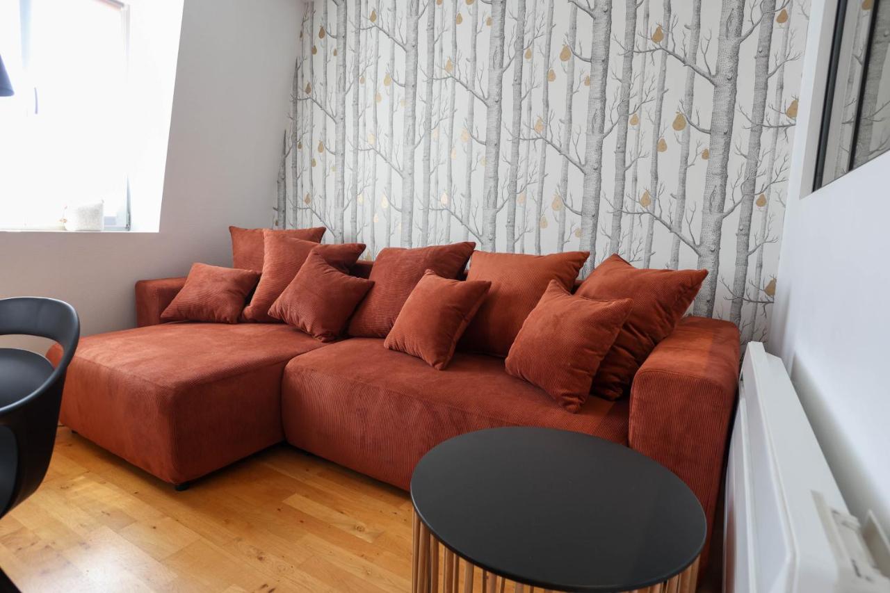 Appartement Le Verdoyant Hyper Centre Avec Sauna Et Parking Colmar Zewnętrze zdjęcie
