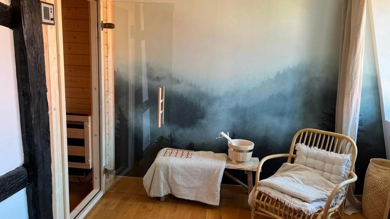 Appartement Le Verdoyant Hyper Centre Avec Sauna Et Parking Colmar Zewnętrze zdjęcie