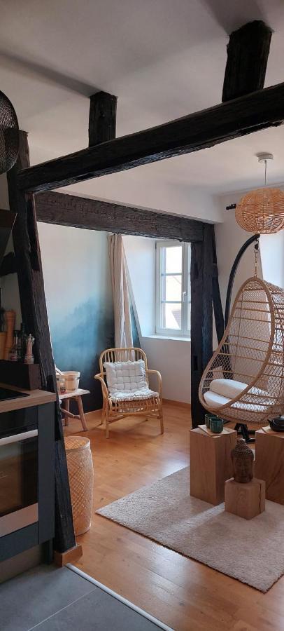 Appartement Le Verdoyant Hyper Centre Avec Sauna Et Parking Colmar Zewnętrze zdjęcie